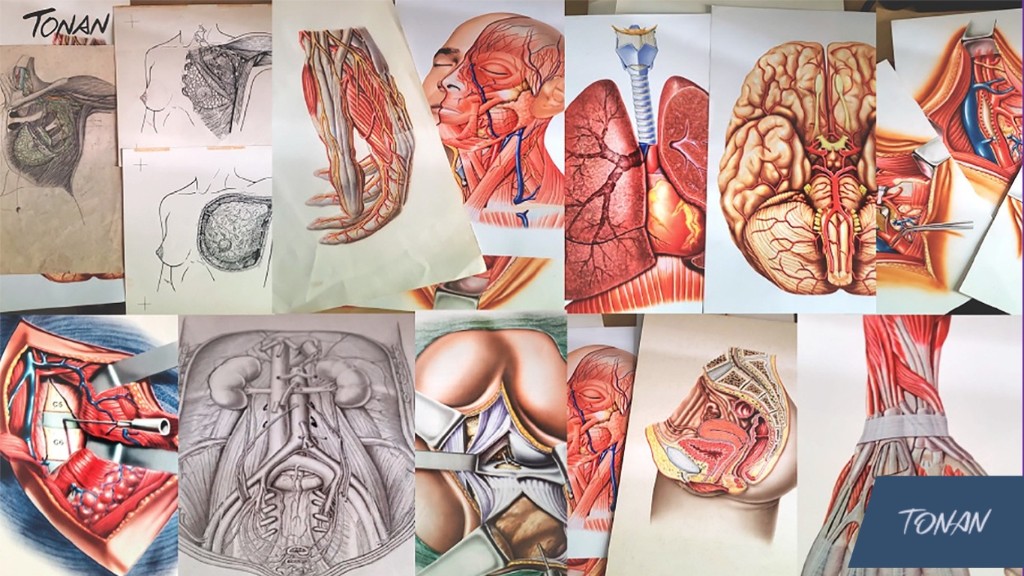 Ilustrações médicas detalhadas para aulas e mentorias especializadas. ilustracao medica