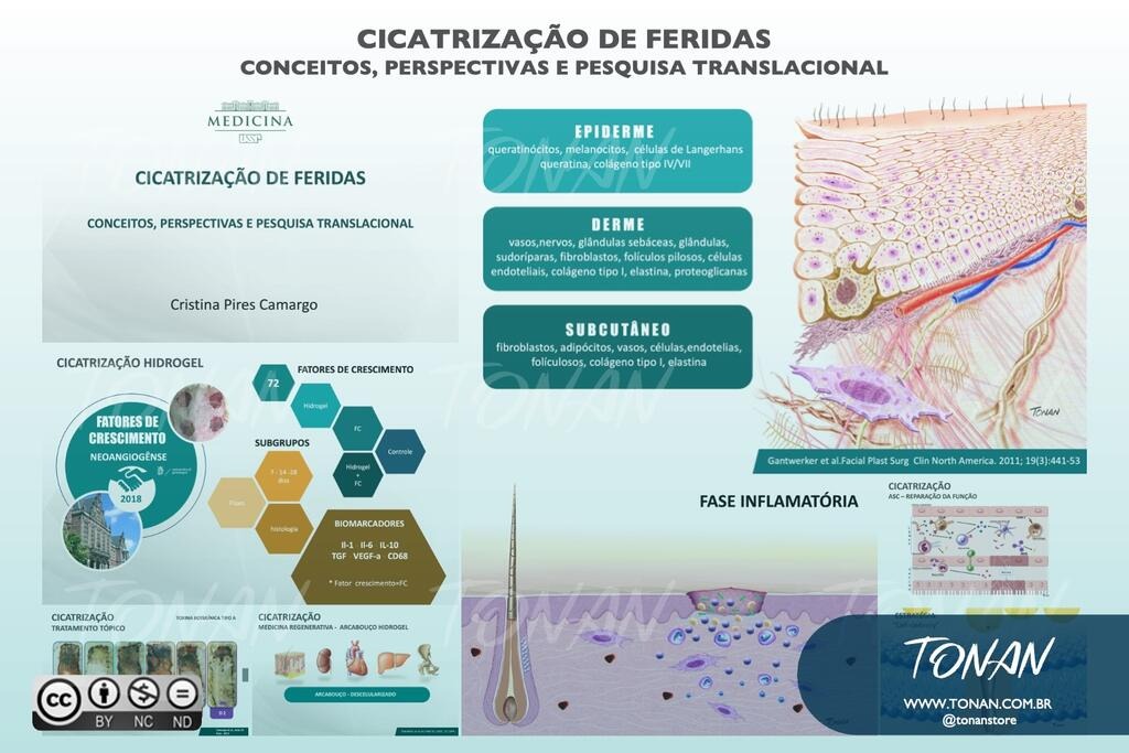 03 Tonan Aulasmedicas000015 AVLx0xgqe9SWV2qn