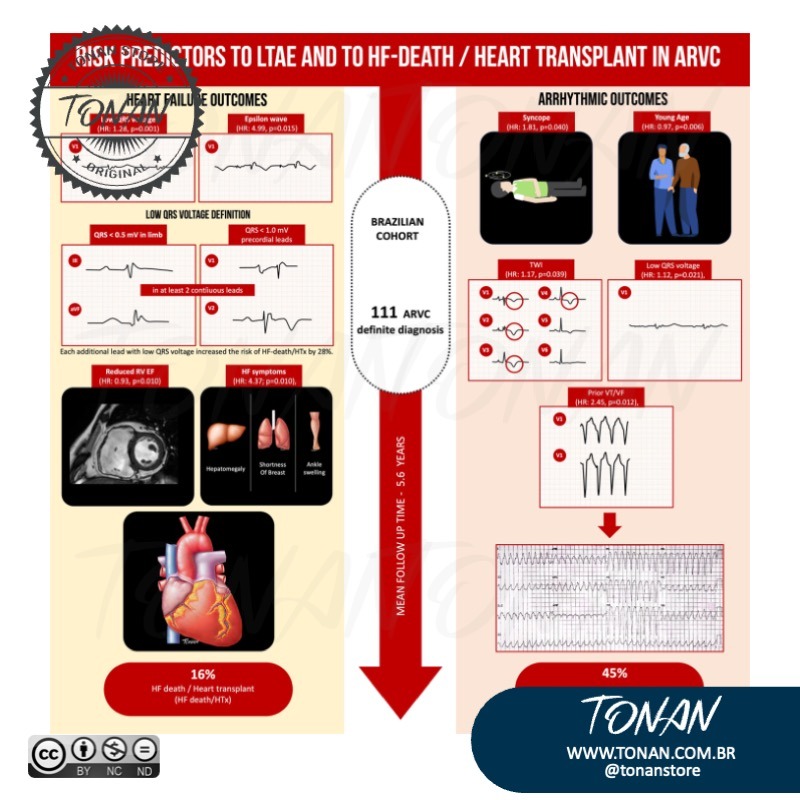 Tonan Ilustracaomedica1 Yg24gkK3EMU6PRjM
