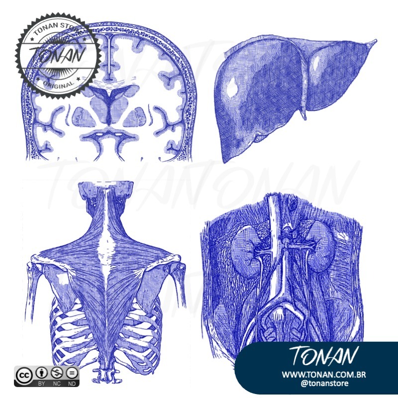 Tonan Ilustracaomedica24 M7VDBgXOlEUVjw6R