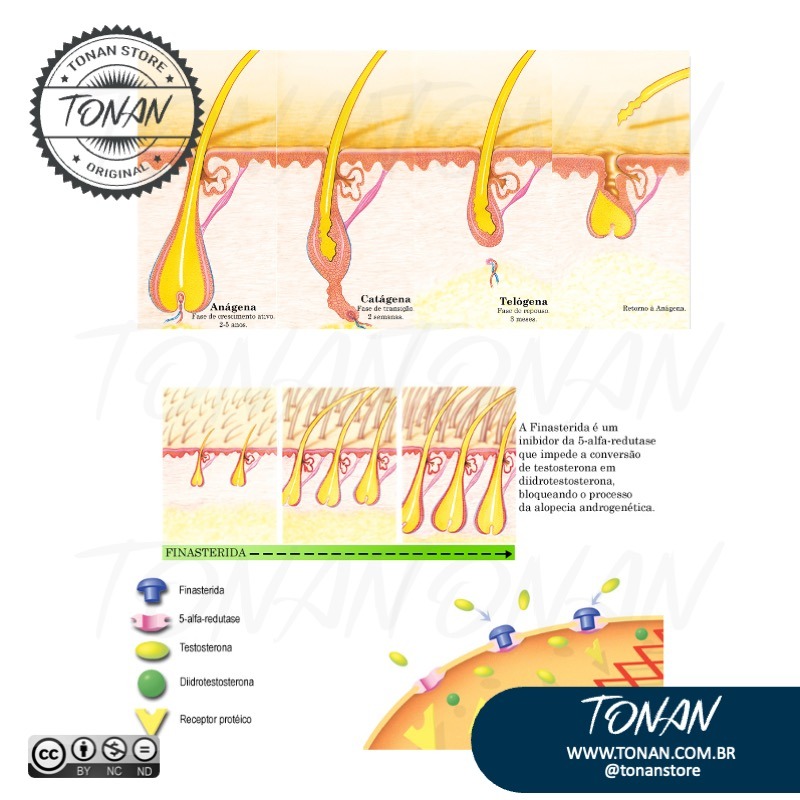 Tonan Ilustracaomedica56 DWxLGagZLRhwZoGW