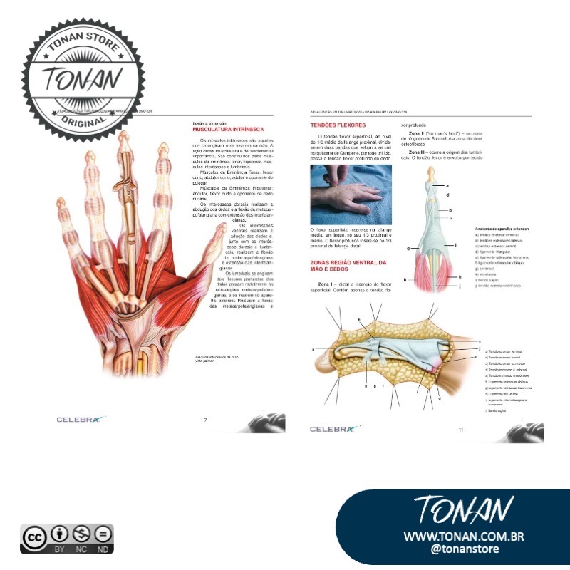 Tonan Ilustracaomedica57 Yle4zkKJo5U0Z8ov