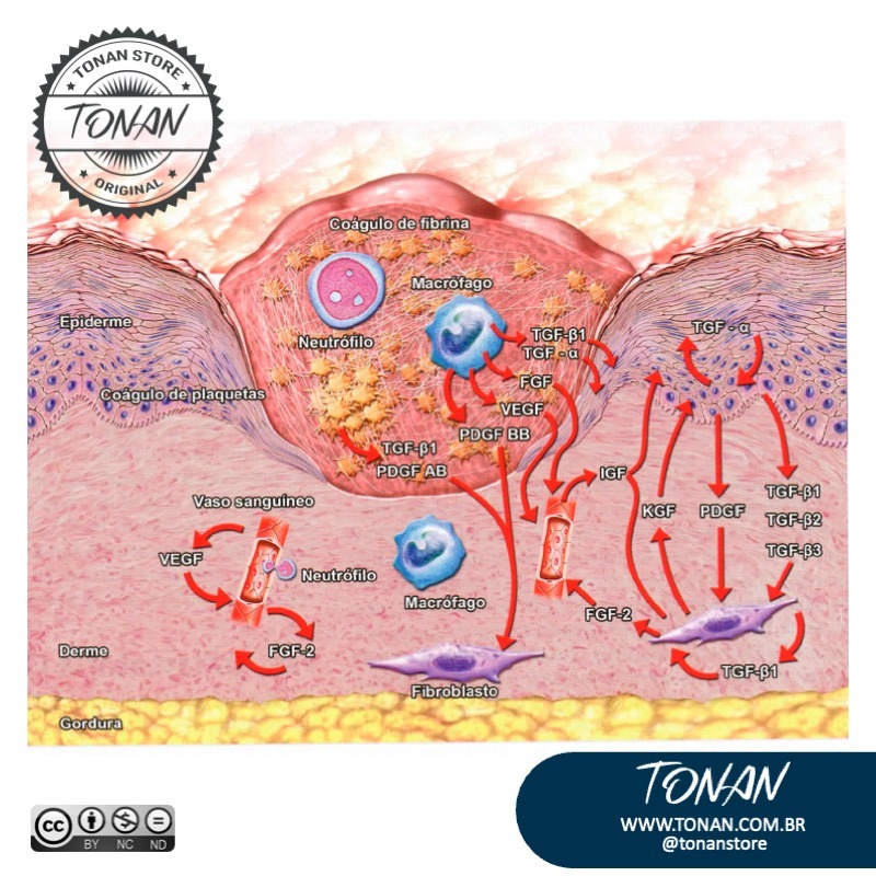 Tonan Ilustracaomedica61 Yan03DKLLgCzqKwR