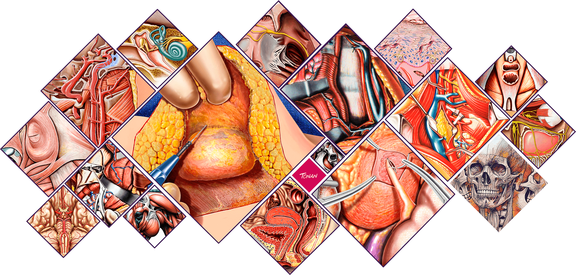 home Tonan Artes M2WQx5jvqPCDEB29