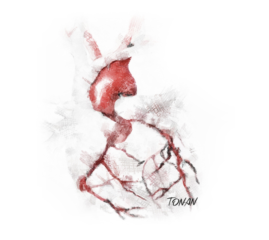 tonan, cardio, cardiologia,tonanstore