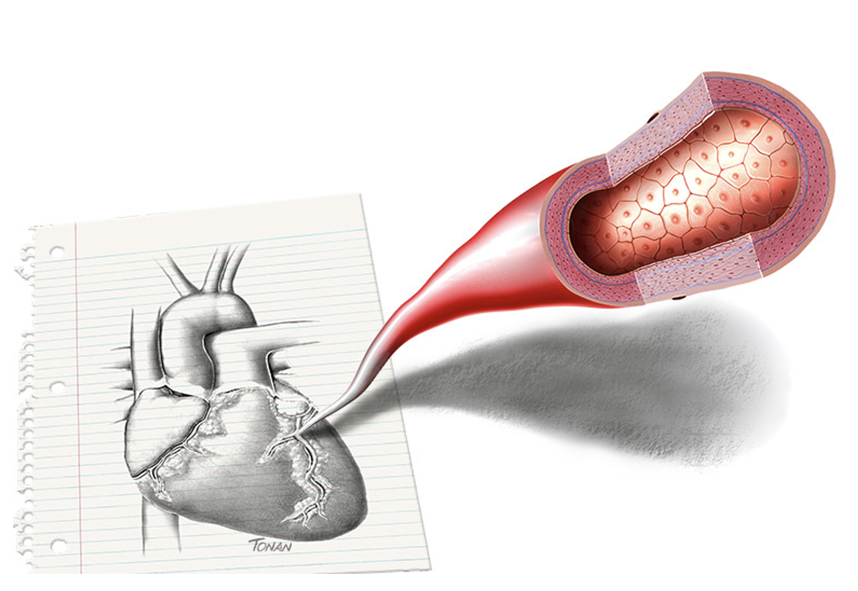 Tonanilustracao Yle4k4jB7nI9k7vP