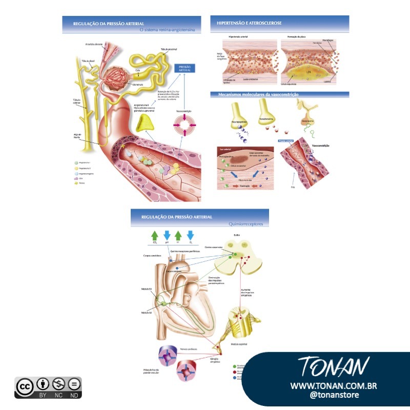 Tonanstore100 Mv0P9Q398LFDwBEp