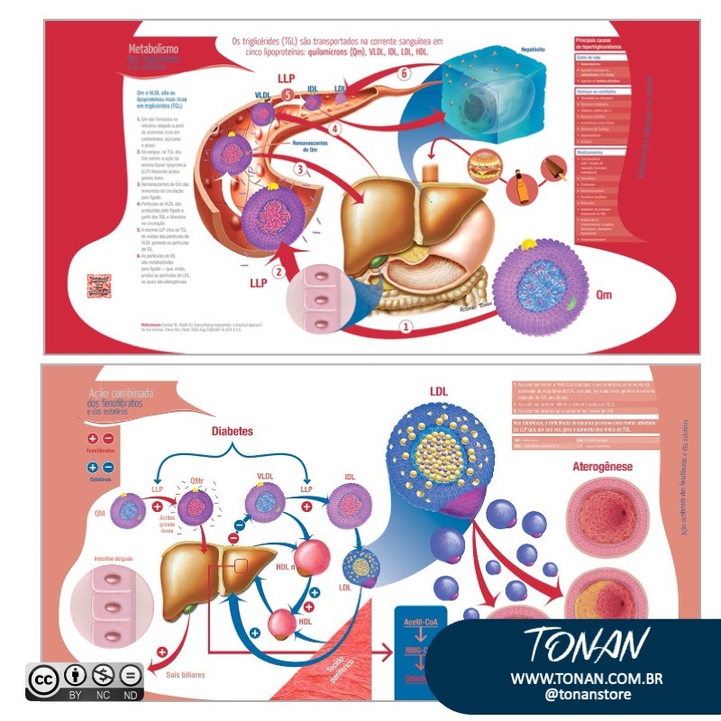 Tonanstore106 AGBz7VpLbbF57D8K
