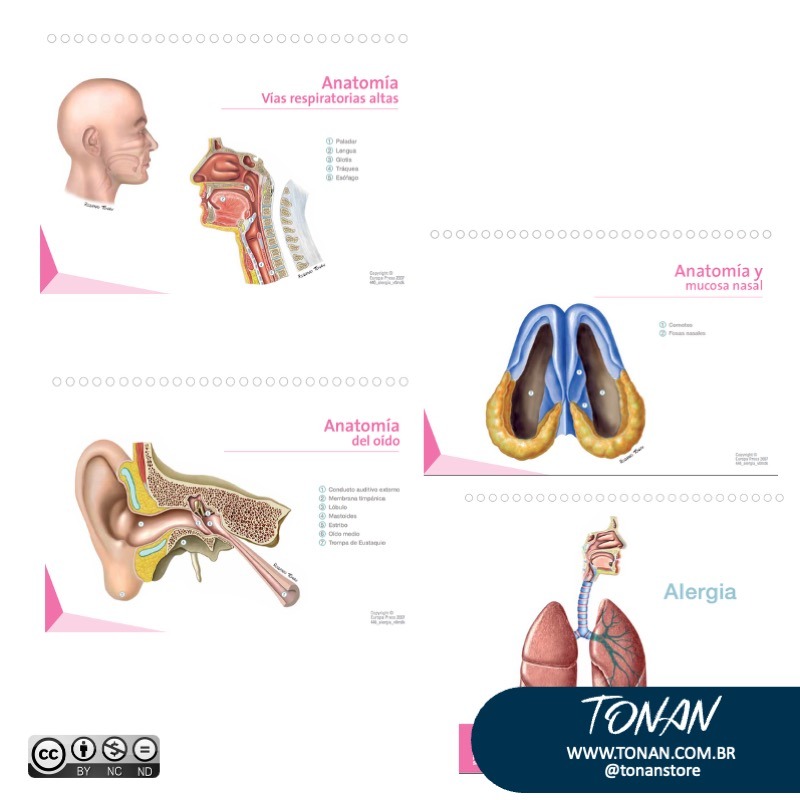 Tonanstore115 Y4LP32y3OvtMaEnJ