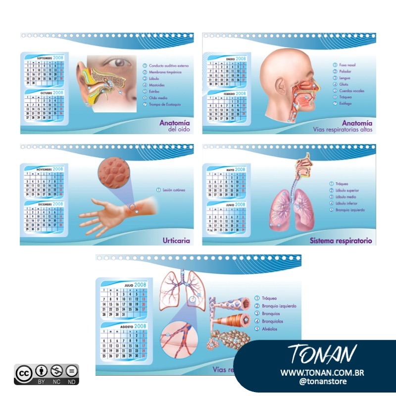 Tonanstore116 Mk340x72ELtrjppL