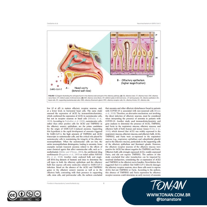 Tonanstore32 M6L2oMKqv1I5EZwZ