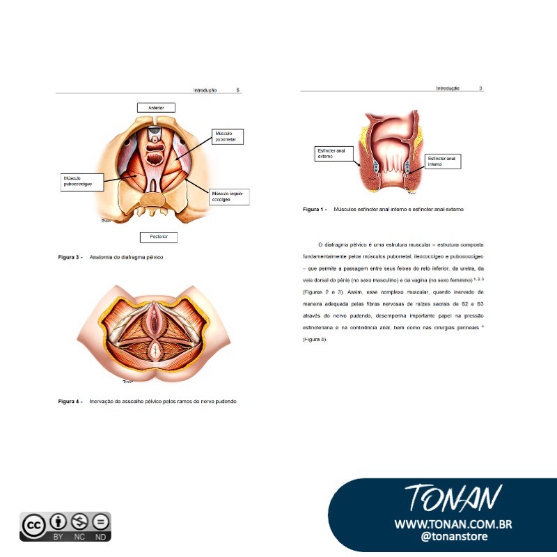 Tonanstore33 Mv0P9Q3yGniQRDzB