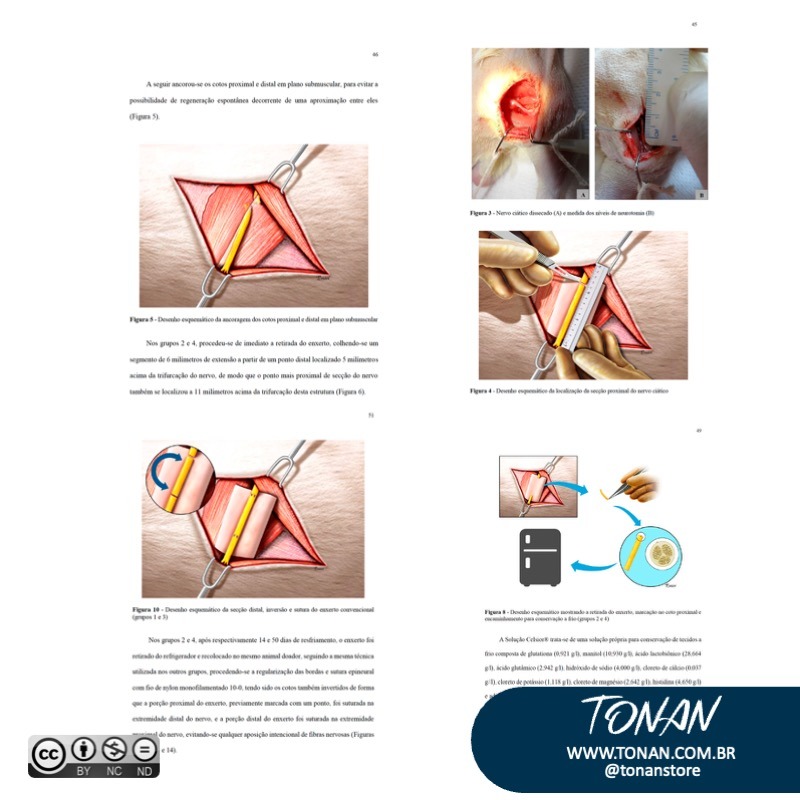 Tonanstore34 Yle4zNEzK9C5W0gG