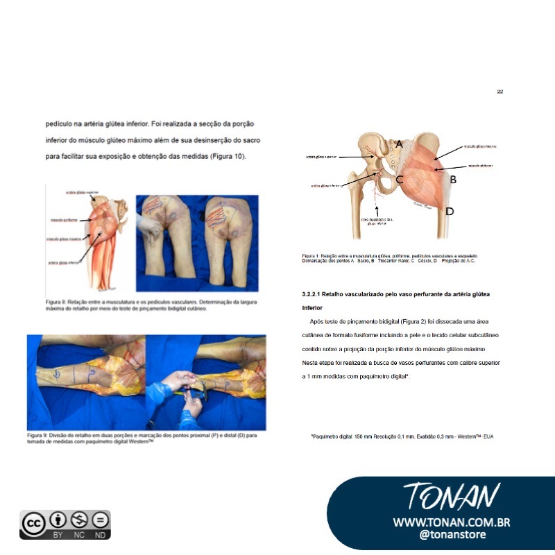 Tonanstore95 YyvDq5BEokU0Mvz4