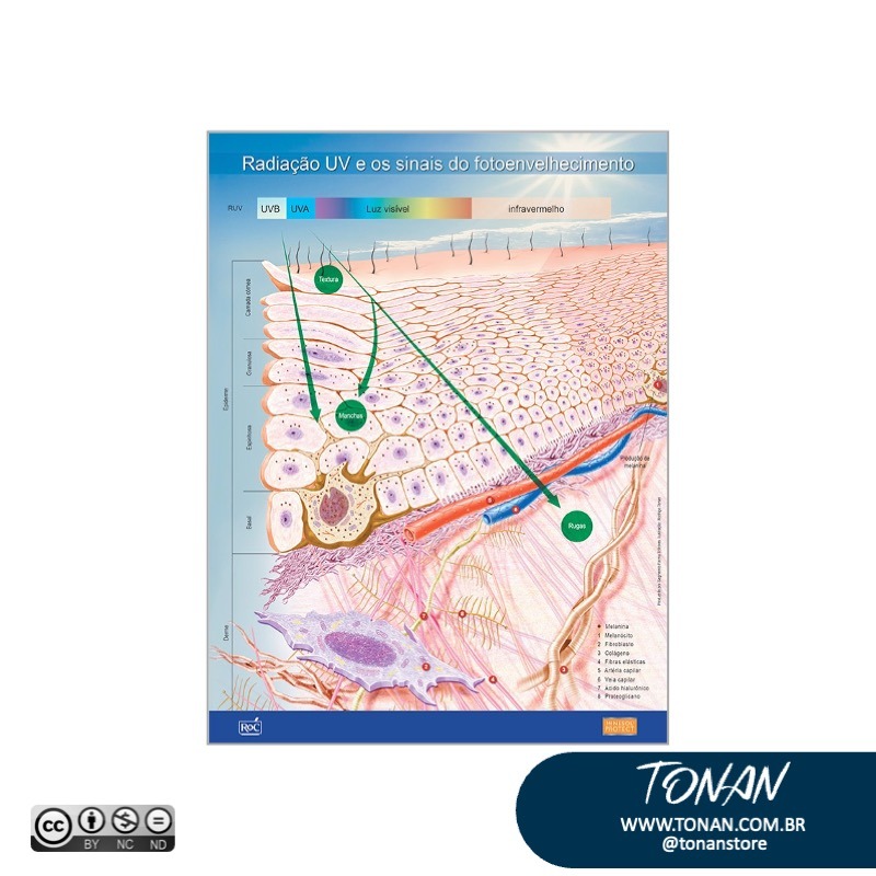 Tonanstore96 YbN4eX3OBbCjQzJY